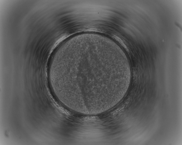 X0000097791133200804041230