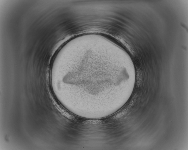X0000097791134200804041230