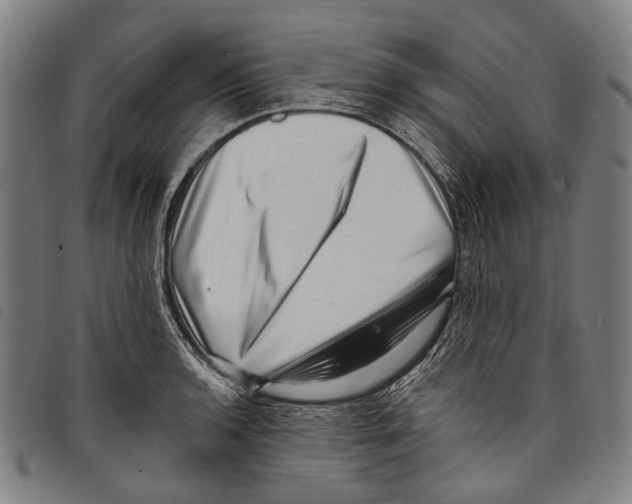 X0000097791136200804041230