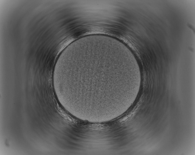 X0000097791137200804041230