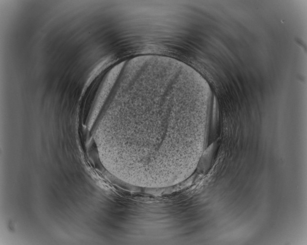 X0000097791138200804041230