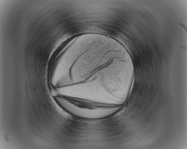 X0000097791139200804041230