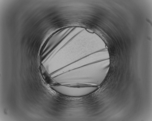 X0000097791140200804041230