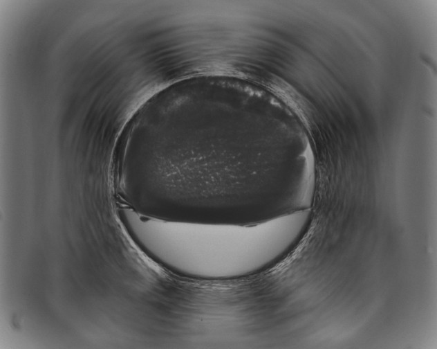 X0000097791141200804041230