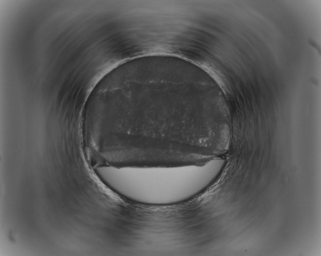 X0000097791142200804041230