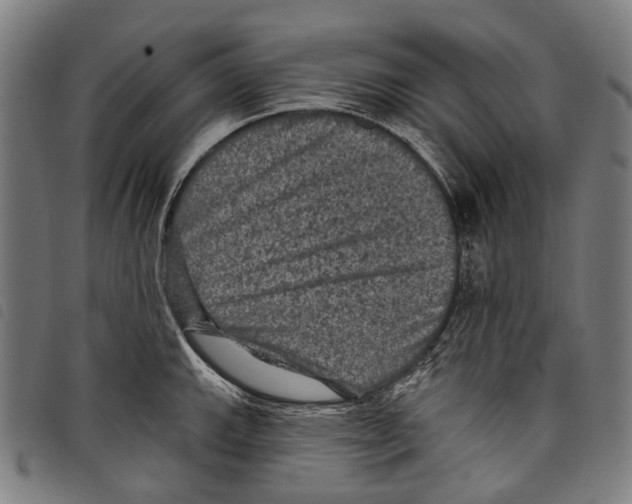 X0000097791143200804041230