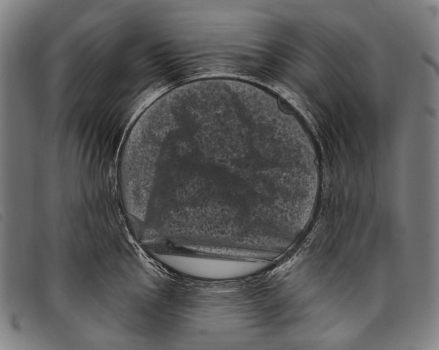 X0000097791145200804041230