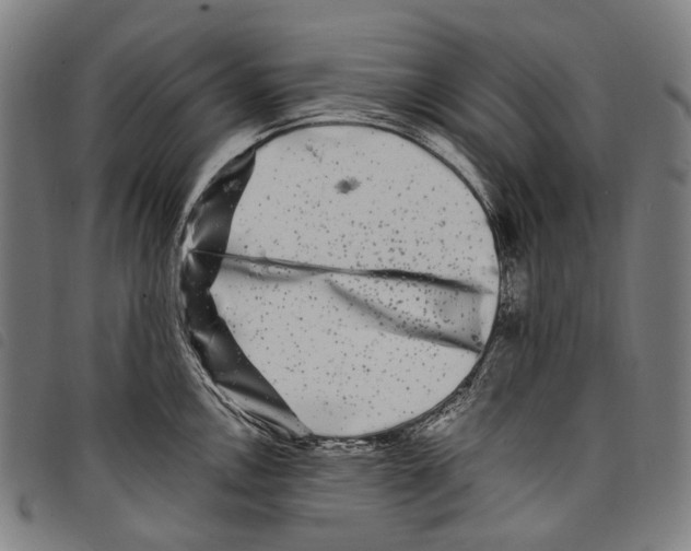 X0000097791146200804041230