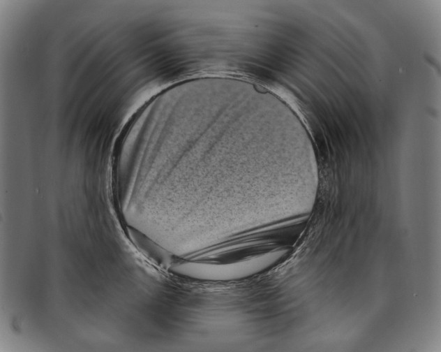 X0000097791147200804041230
