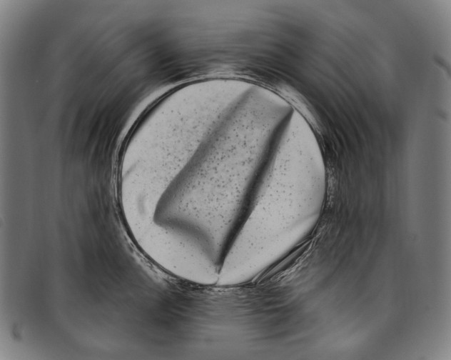 X0000097791148200804041230