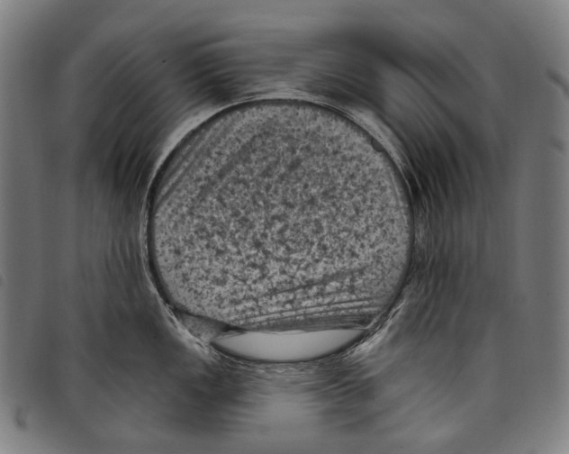 X0000097791149200804041230