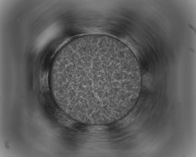 X0000097791150200804041230