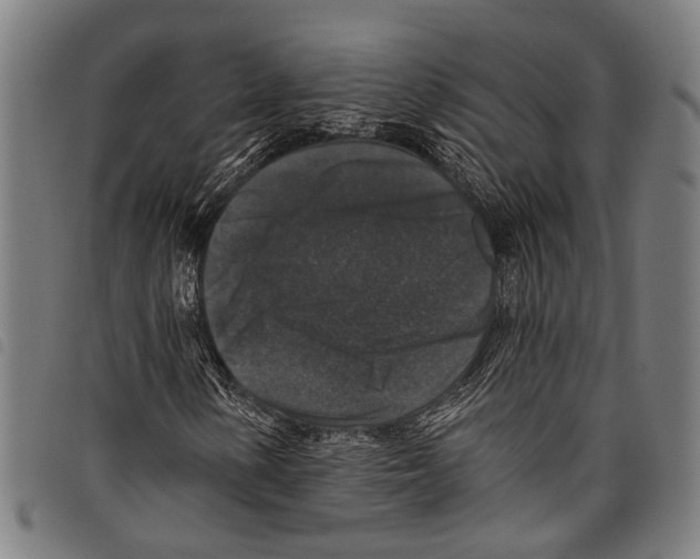 X0000097791154200804041229