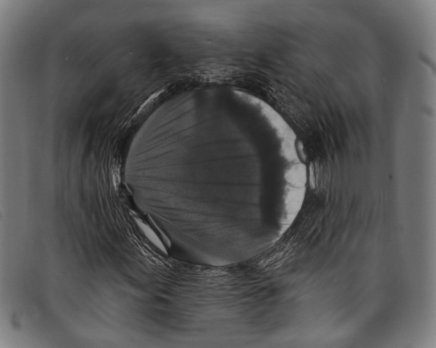 X0000097791155200804041229