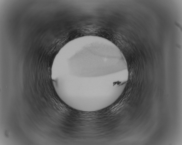 X0000097791156200804041229