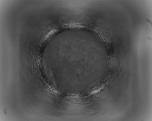 X0000097791157200804041229