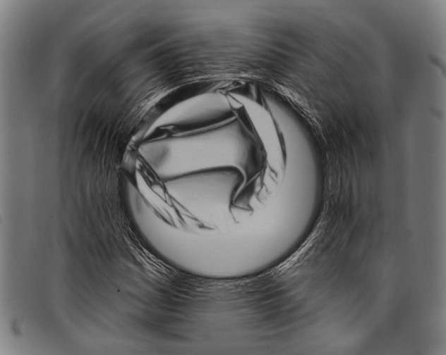 X0000097791161200804041229