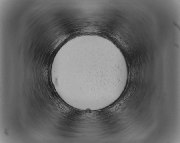X0000097791162200804041229