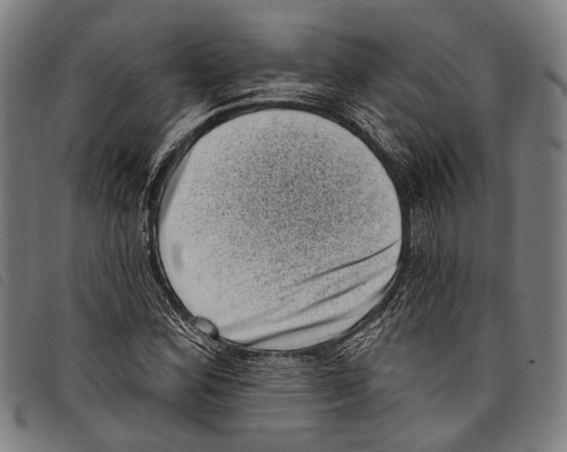 X0000097791164200804041229