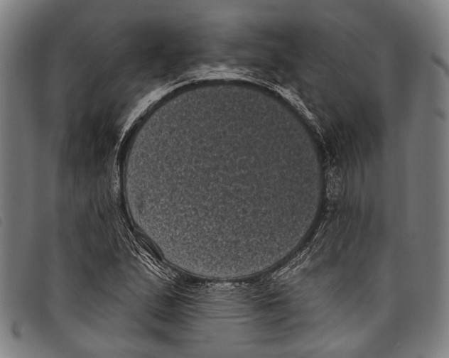 X0000097791167200804041229