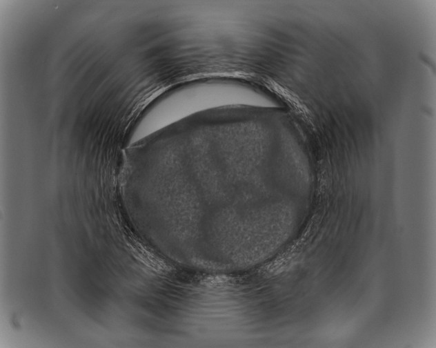 X0000097791169200804041229