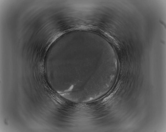 X0000097791170200804041229