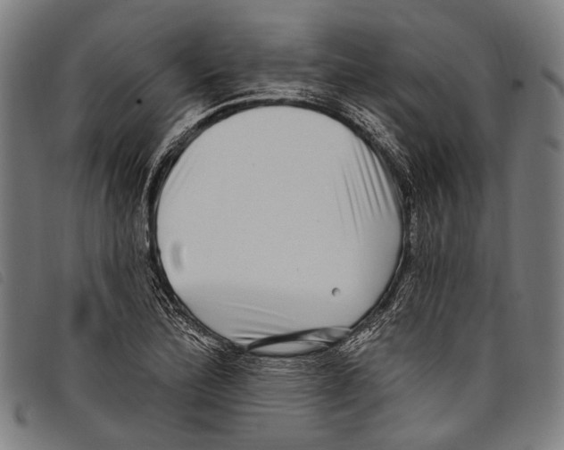 X0000097791172200804041229