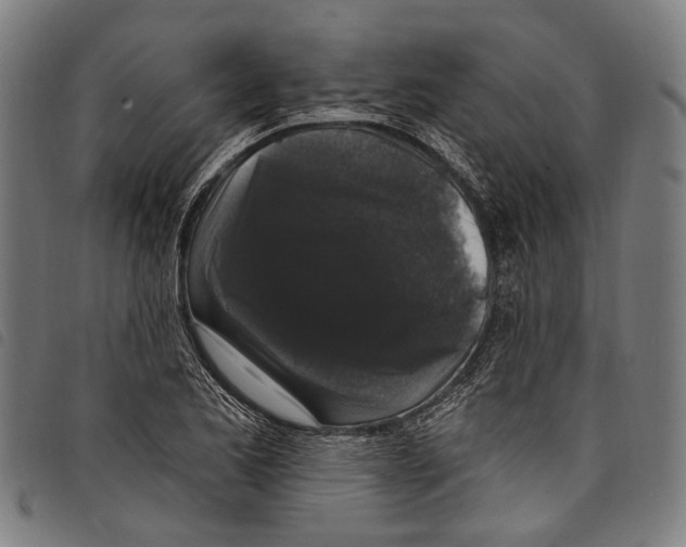 X0000097791173200804041229