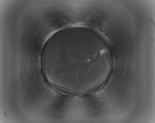 X0000097791174200804041229