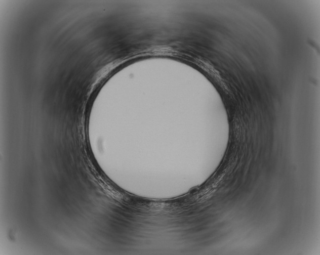 X0000097791176200804041229