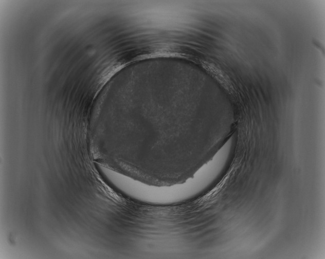 X0000097791177200804041229