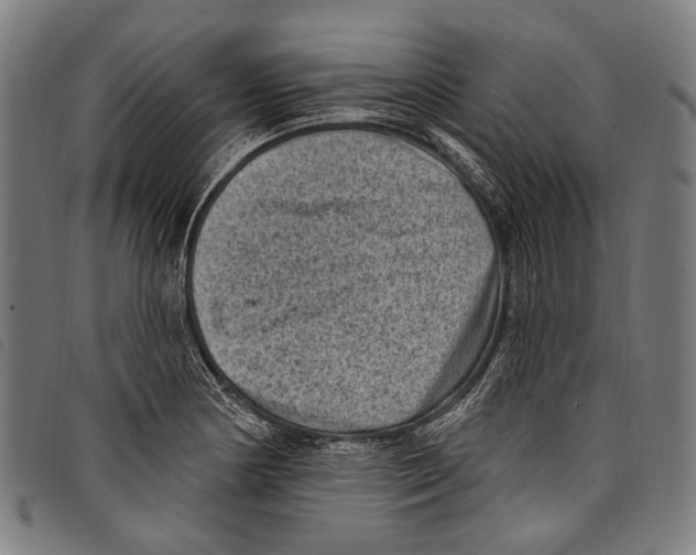 X0000097791178200804041229
