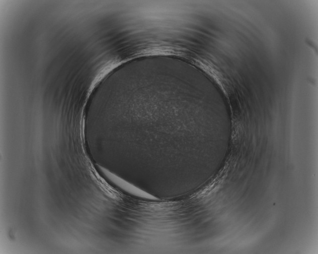 X0000097791179200804041229