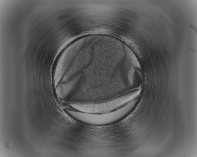 X0000097791184200804041229