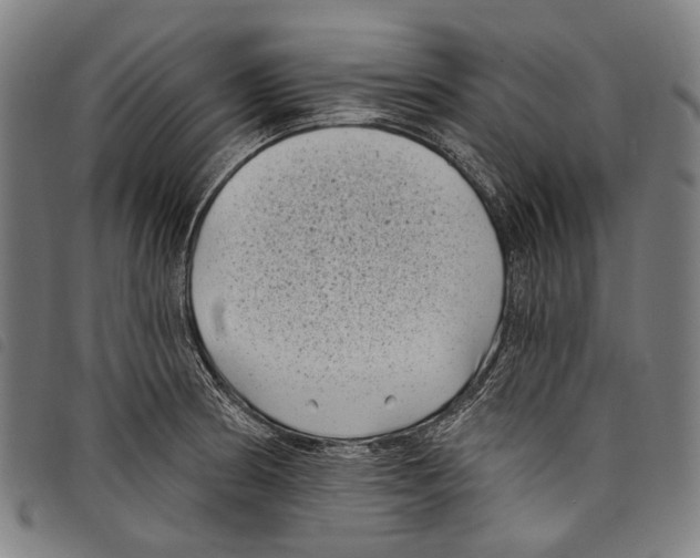 X0000097791186200804041229