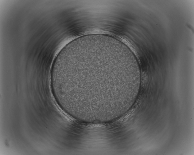 X0000097791187200804041229
