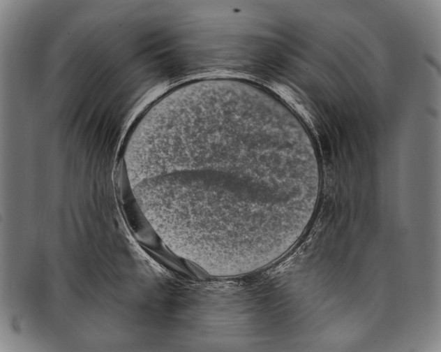 X0000097791189200804041229
