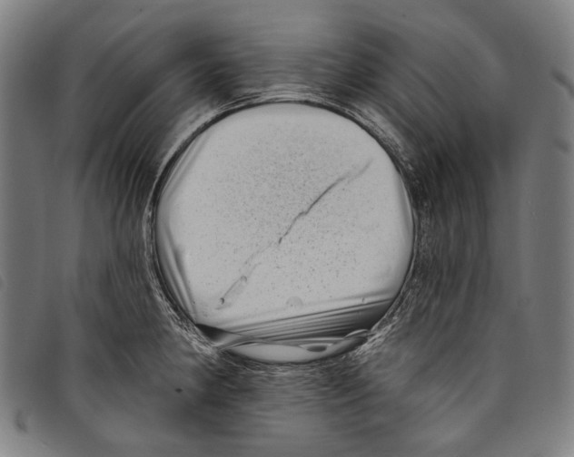 X0000097791190200804041229