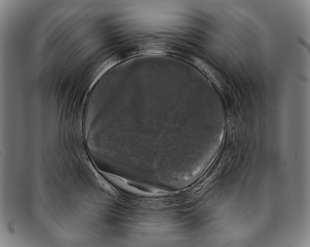 X0000097791194200804041229