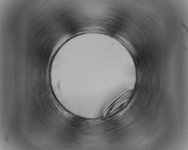 X0000097791196200804041229