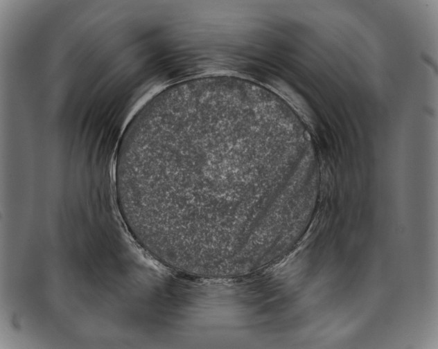 X0000097791198200804041229