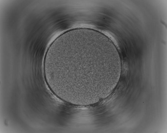 X0000097791199200804041229
