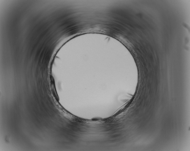 X0000097791200200804041229