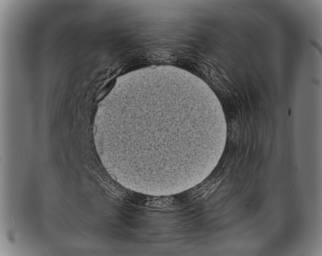 X0000097791201200804041228