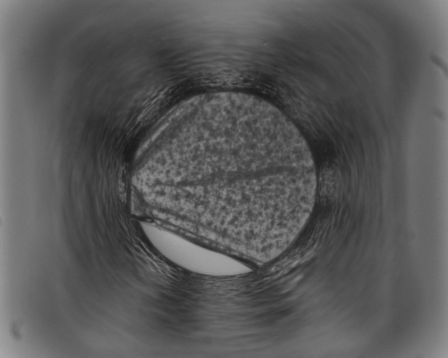 X0000097791202200804041228