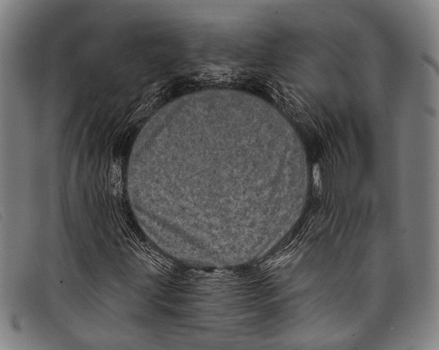 X0000097791203200804041228