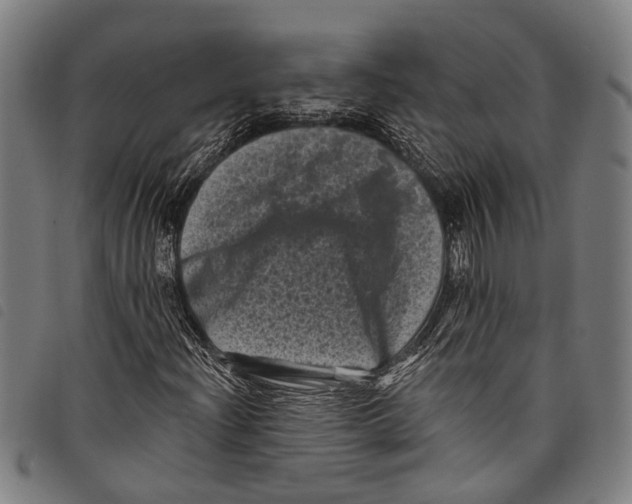 X0000097791204200804041228