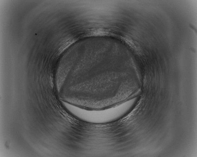 X0000097791209200804041228