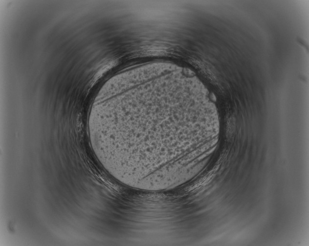 X0000097791210200804041228