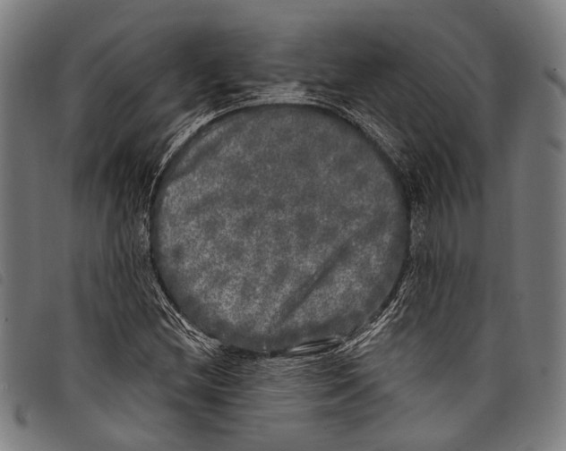 X0000097791212200804041228